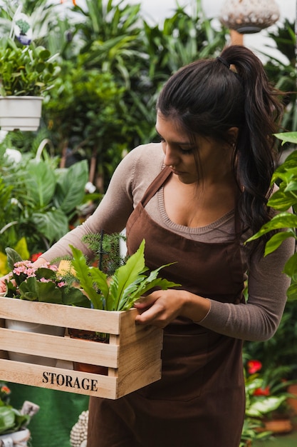 Jardinero joven que lleva la caja con las plantas