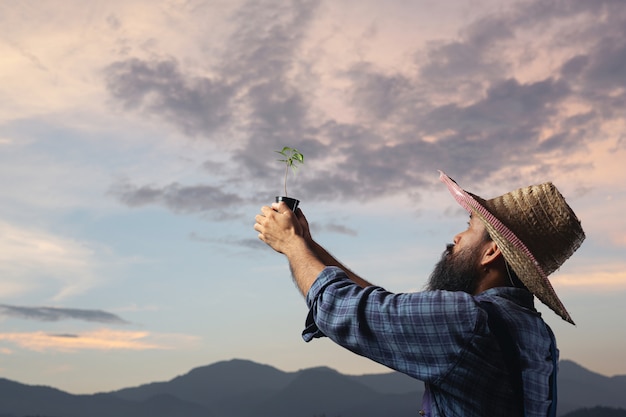 El jardinero levanta la maceta de la planta al cielo.