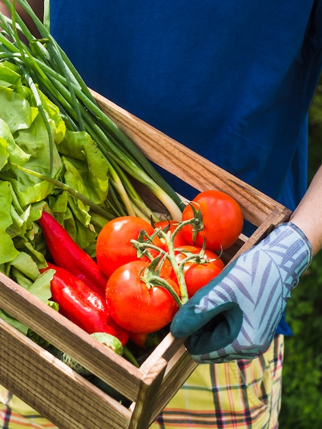 Foto gratuita jardinero macho con caja de madera con verduras frescas