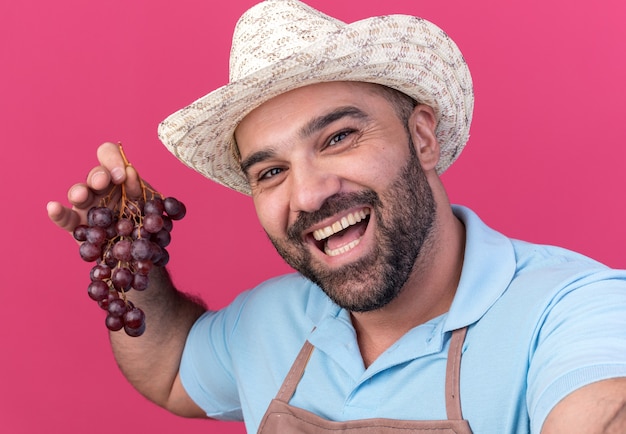 Jardinero macho caucásico adulto alegre vistiendo sombrero de jardinería sosteniendo racimo de uvas y mirando a la cámara