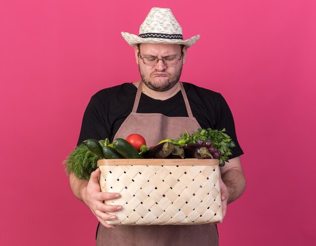 Jardinero macho joven disgustado con sombrero de jardinería sosteniendo y mirando la canasta de verduras aislado en la pared rosa