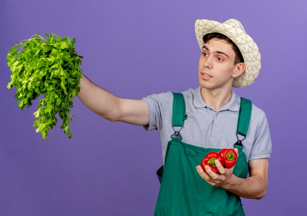 Jardinero macho joven sorprendido con sombrero de jardinería tiene pimientos rojos y cilantro