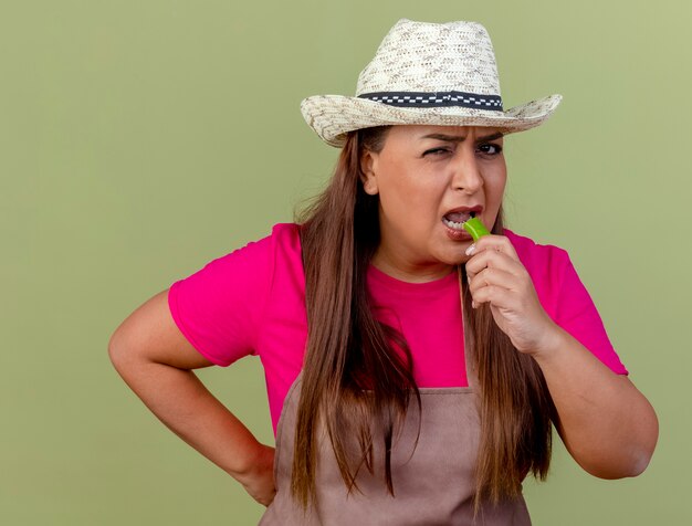 Jardinero de mediana edad mujer en delantal y sombrero mordiendo ají verde está preocupado