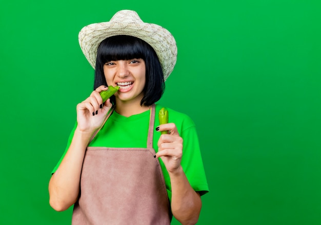 Jardinero mujer joven disgustado en uniforme vistiendo sombrero de jardinería muerde pimienta rota