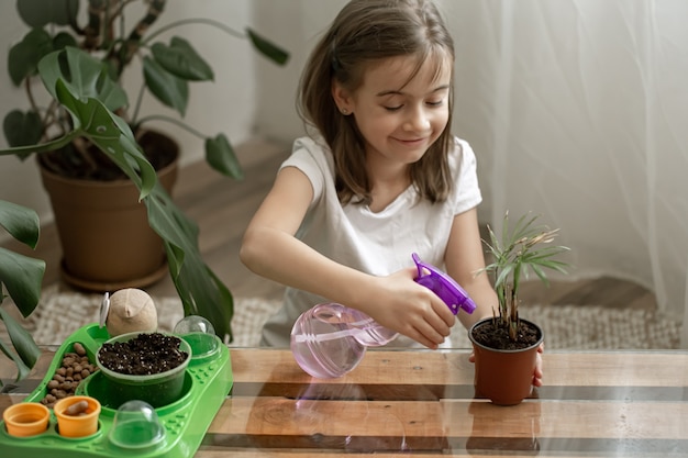 Jardinero de niña divertida con plantas en la habitación en casa, regando y cuidando plantas de interior, trasplanta flores.