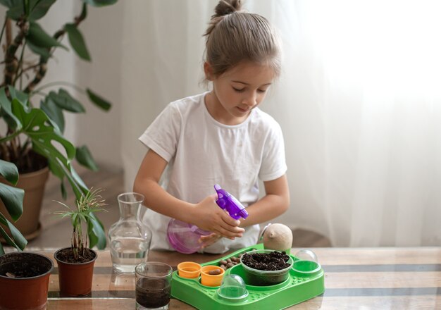 Jardinero de niña divertida con plantas en la habitación en casa, regando y cuidando plantas de interior, trasplanta flores.