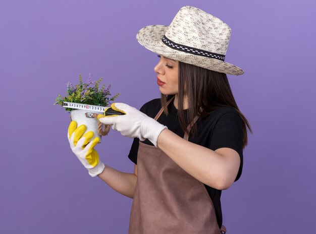 Jardinero de sexo femenino bastante caucásico confiado con sombrero de jardinería y guantes que miden las flores en maceta con cinta métrica aislada en la pared púrpura con espacio de copia