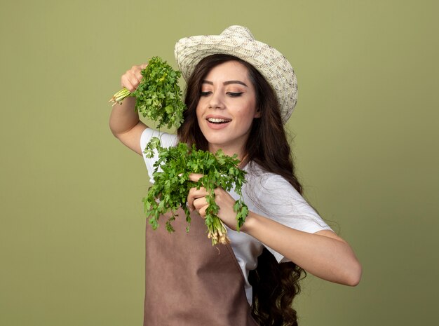 Jardinero de sexo femenino joven complacido en uniforme con sombrero de jardinería sostiene y mira cilantro aislado en la pared verde oliva