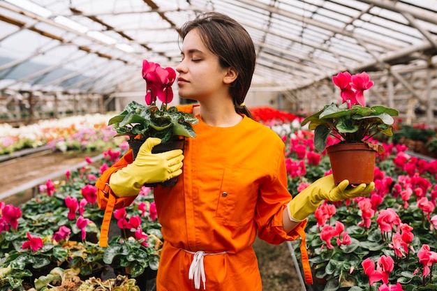 Jardinero de sexo femenino joven que huele las flores rosadas en invernadero