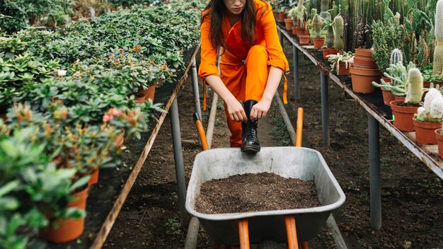 Jardinero de sexo femenino que ata la bota de wellington en invernadero