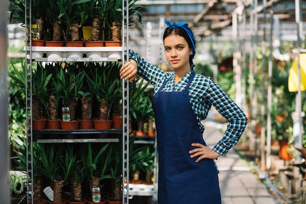 Jardinero de sexo femenino que se coloca cerca del estante de plantas en conserva en invernadero