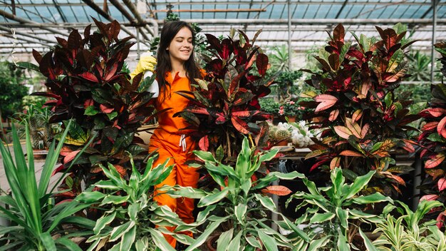 Jardinero de sexo femenino que rocía el agua en las plantas