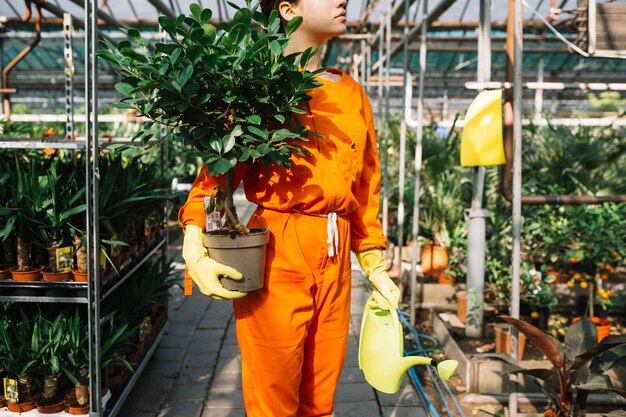 Jardinero de sexo femenino que sostiene la planta en maceta y la regadera