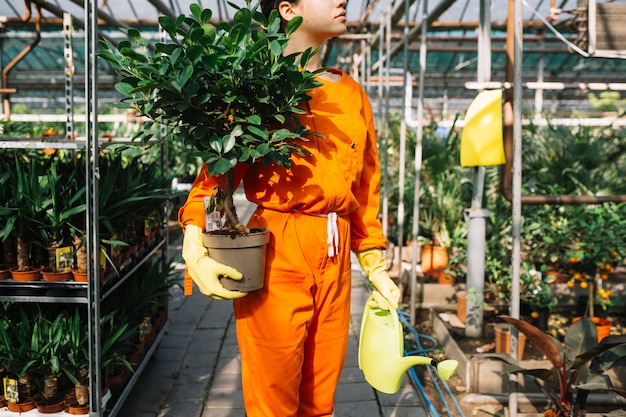 Jardinero de sexo femenino que sostiene la planta en maceta y la regadera