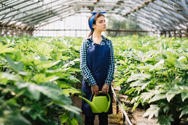 Foto gratuita jardinero de sexo femenino que sostiene la regadera con las plantas que crecen en invernadero