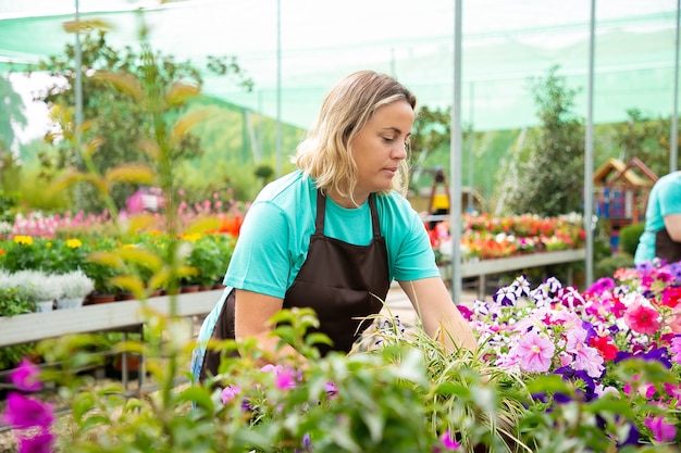 Jardinero de sexo femenino serio que cultiva diferentes plantas en macetas