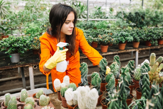 Jardinero de sexo femenino en el workwear que rocía el agua en las plantas del cactus en invernadero