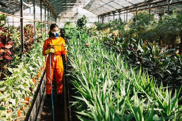 Jardinero de sexo femenino en el workwear que rocía el insecticida en las plantas en invernadero