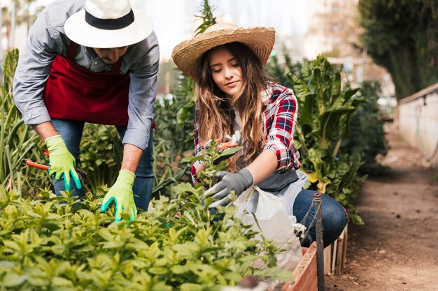 Jardinero de sexo masculino y femenino que poda las plantas en el jardín doméstico