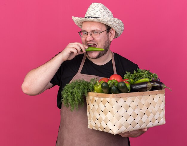 Jardinero de sexo masculino joven complacido con sombrero de jardinería sosteniendo canasta de verduras tratando de pimiento picante aislado en la pared rosa