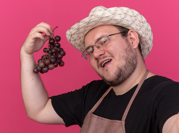 Jardinero de sexo masculino joven complacido con sombrero de jardinería sosteniendo uvas aisladas en la pared rosa