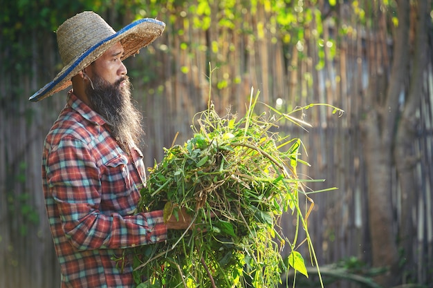 Foto gratuita jardinero sosteniendo un montón de hierba en su brazo