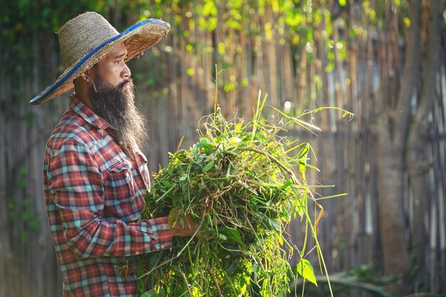 Jardinero sosteniendo un montón de hierba en su brazo