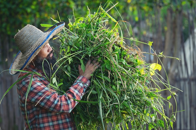 Jardinero sosteniendo un montón de hierba en su brazo