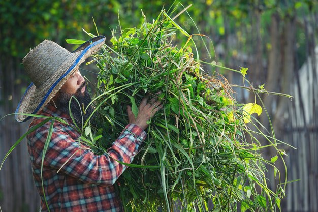 Jardinero sosteniendo un montón de hierba en su brazo