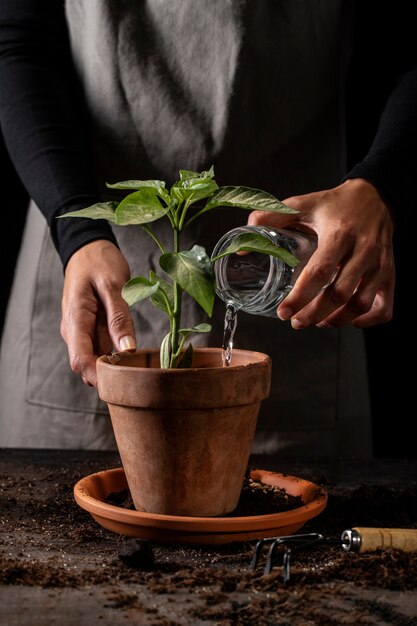 Jardinero de vista frontal con planta de riego de delantal