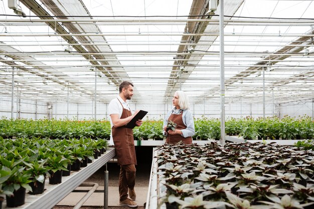 Jardineros hablando de plantas en invernadero