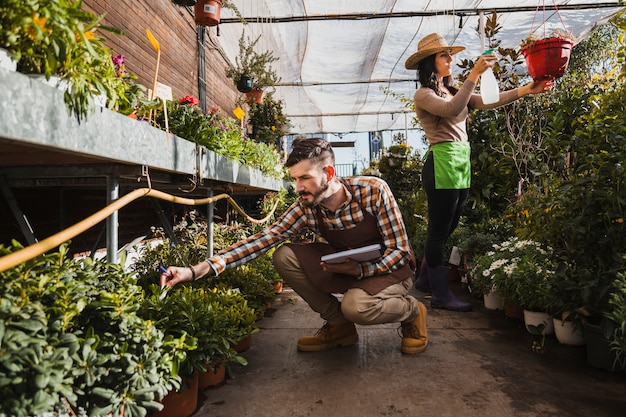 Jardineros trabajando en invernadero