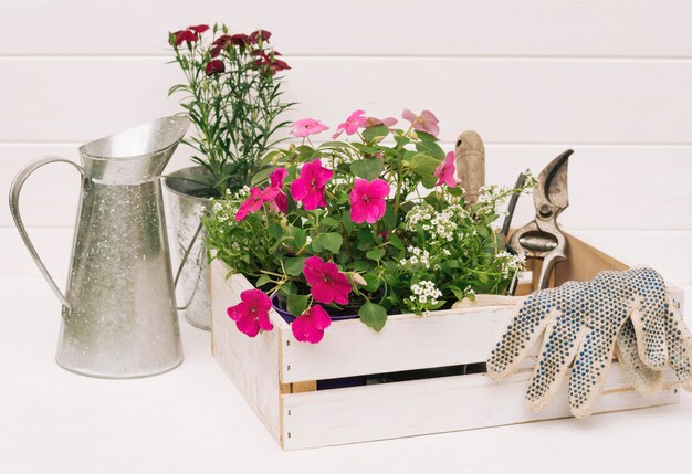 Jarra metálica cerca de flores y equipo de jardinería en caja cerca de pared