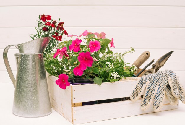 Jarra metálica cerca de flores y equipo de jardinería en caja cerca de pared