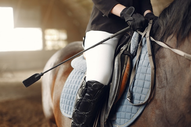 El jinete entrena con el caballo