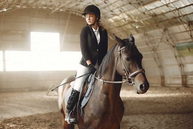 Foto gratuita el jinete entrena con el caballo