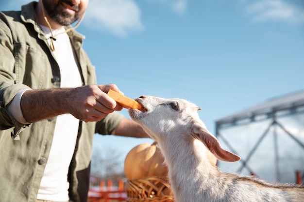 Joven agricultor alimentando a sus cabras con leche de una botella en la granja