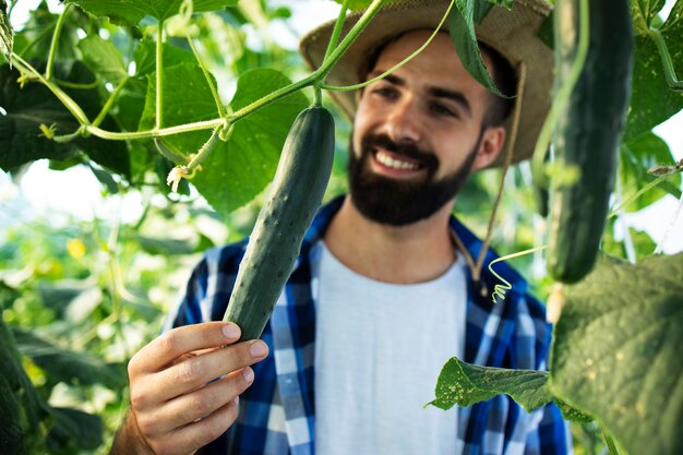 Joven agricultor barbudo cultivo y control de verduras en invernadero