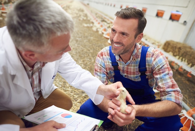 Joven agricultor con médico comprobando la salud de los animales