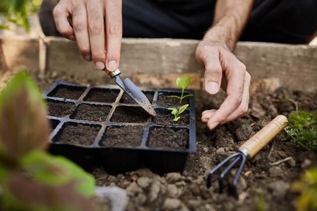 Joven agricultor trabajando en su jardín preparándose para la temporada de verano. Hombre tiernamente plantar brotes verdes con herramientas de jardín en su casa de campo.