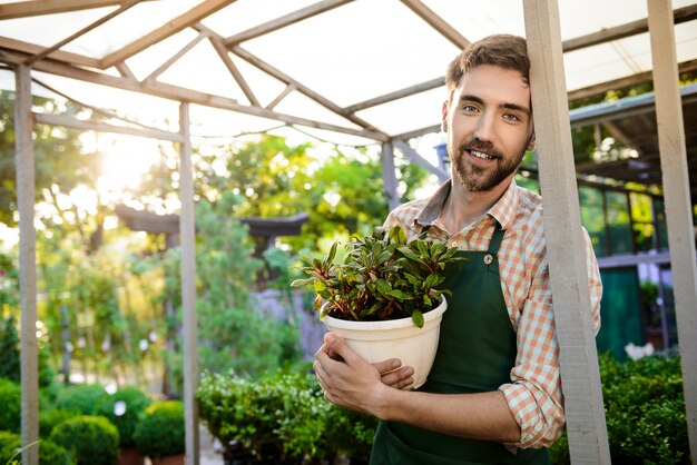 Joven apuesto jardinero alegre sonriendo, sosteniendo maceta con planta