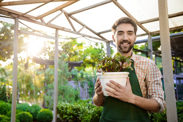 Joven apuesto jardinero alegre sonriendo, sosteniendo maceta con planta