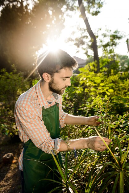 Joven apuesto jardinero sonriendo, cuidando las plantas