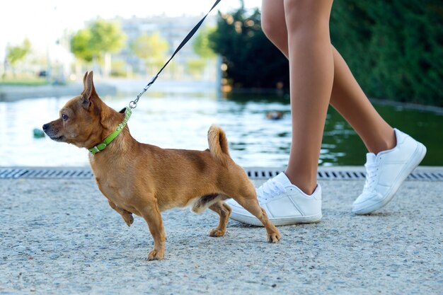 Joven y bella mujer caminando con su perro en el parque.