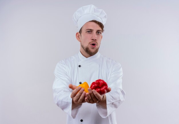 Un joven chef barbudo positivo con uniforme de cocina blanco y sombrero mirando a la cámara mientras sostiene pimientos amarillos y rojos en su mano sobre una pared blanca