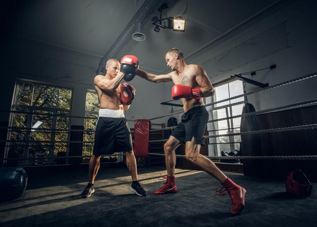 El joven entrenador de boxeo y su nuevo estudiante tienen un entrenamiento en el ring de boxeo.