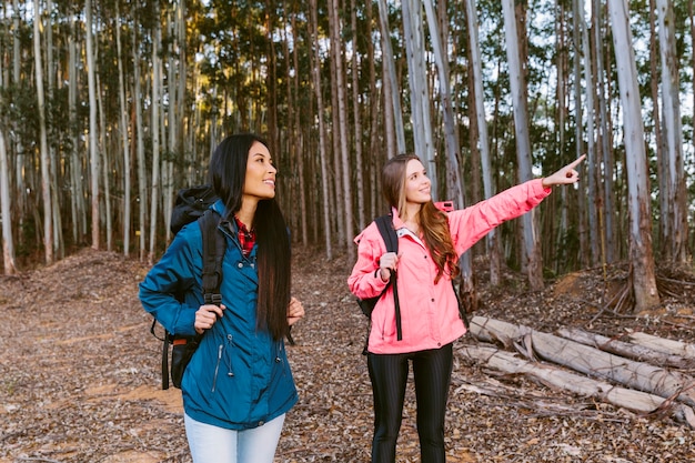 Joven excursionista femenina mostrando algo a su amigo en el bosque