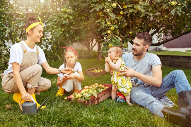 La joven familia feliz durante la recolección de manzanas en un jardín al aire libre