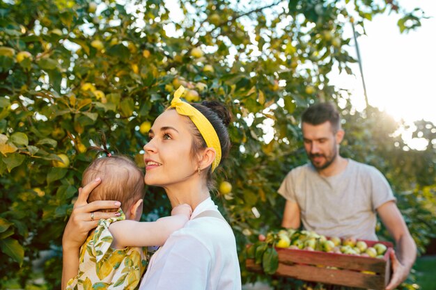 La joven familia feliz durante la recolección de manzanas en un jardín al aire libre