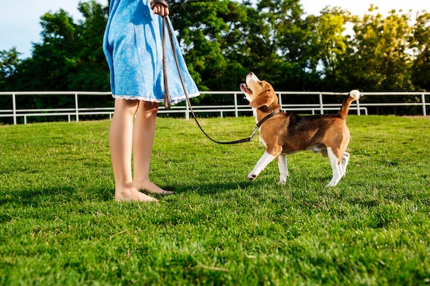 Joven hermosa chica rubia caminando, jugando con el perro beagle en el parque.